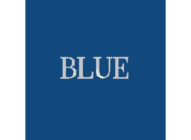 BLUE EVENT