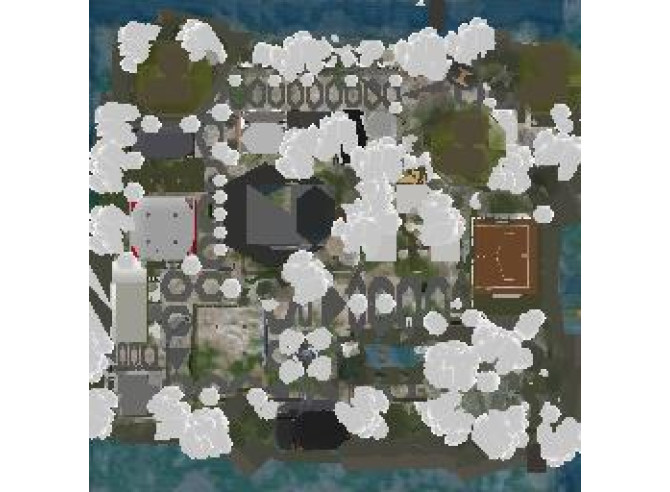 Tranquil Shore